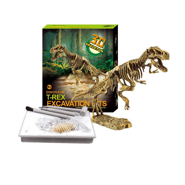 Dinosaur Digging Fossil Kit Model Toys