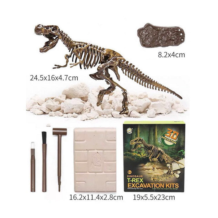 Dinosaur Digging Fossil Kit Model Toys