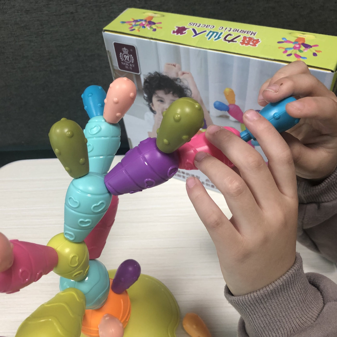 Montessori toys, Cactus Sorting Counting Toys