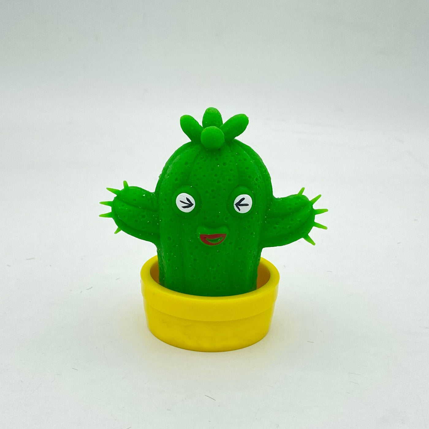 Squishy Toy Decompress Cacti